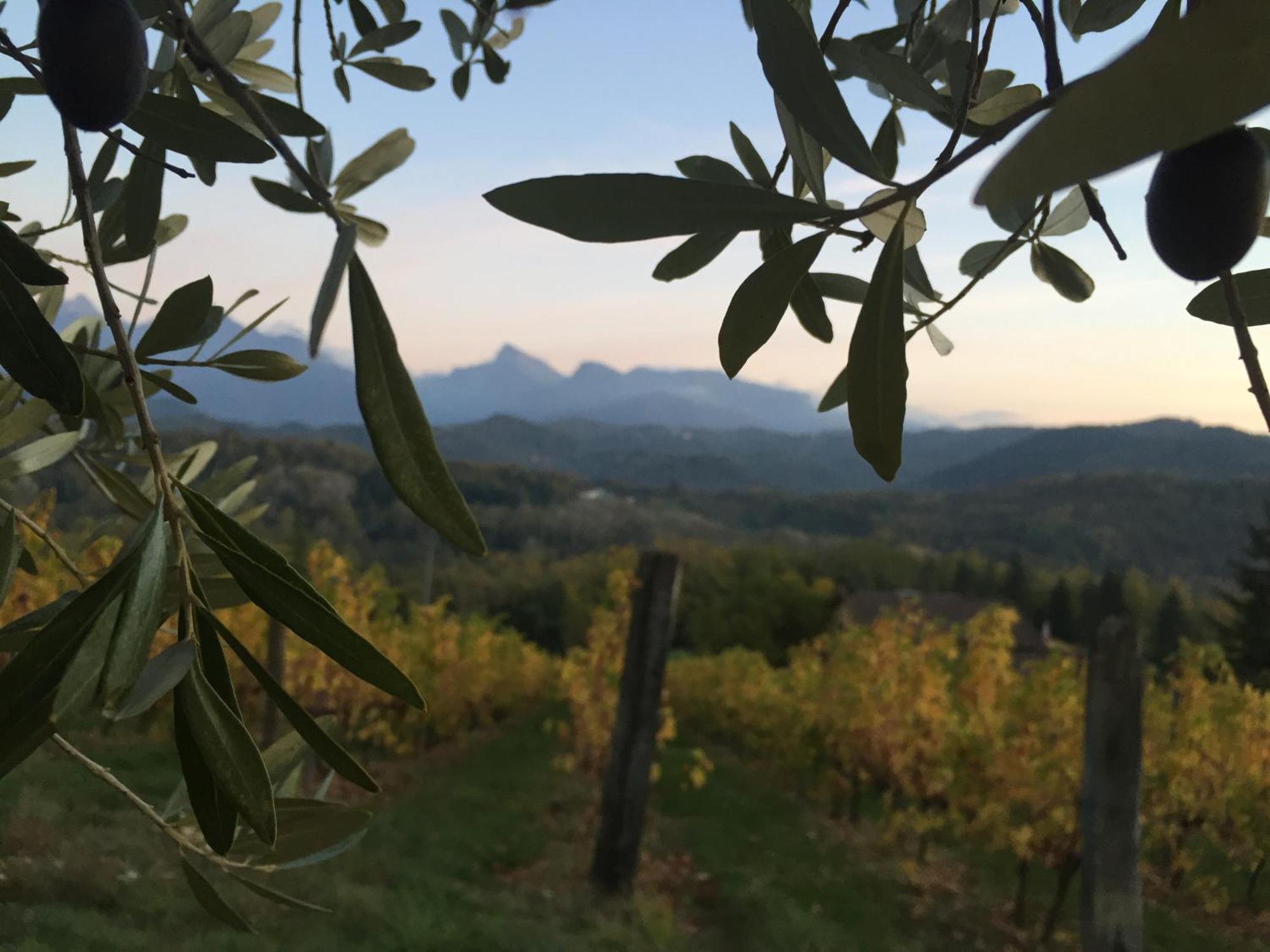 Agriturismo Il Bardellino Fivizzano Extérieur photo