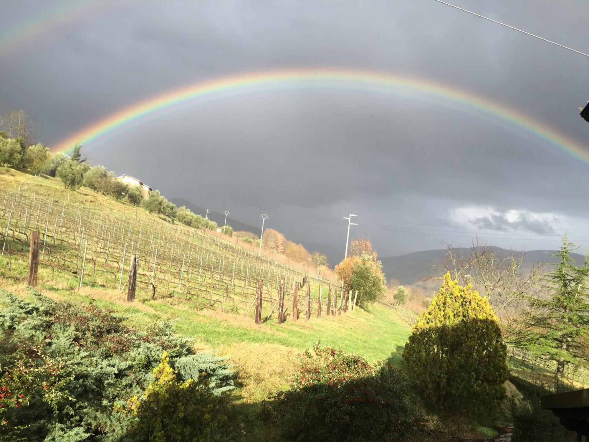 Agriturismo Il Bardellino Fivizzano Extérieur photo