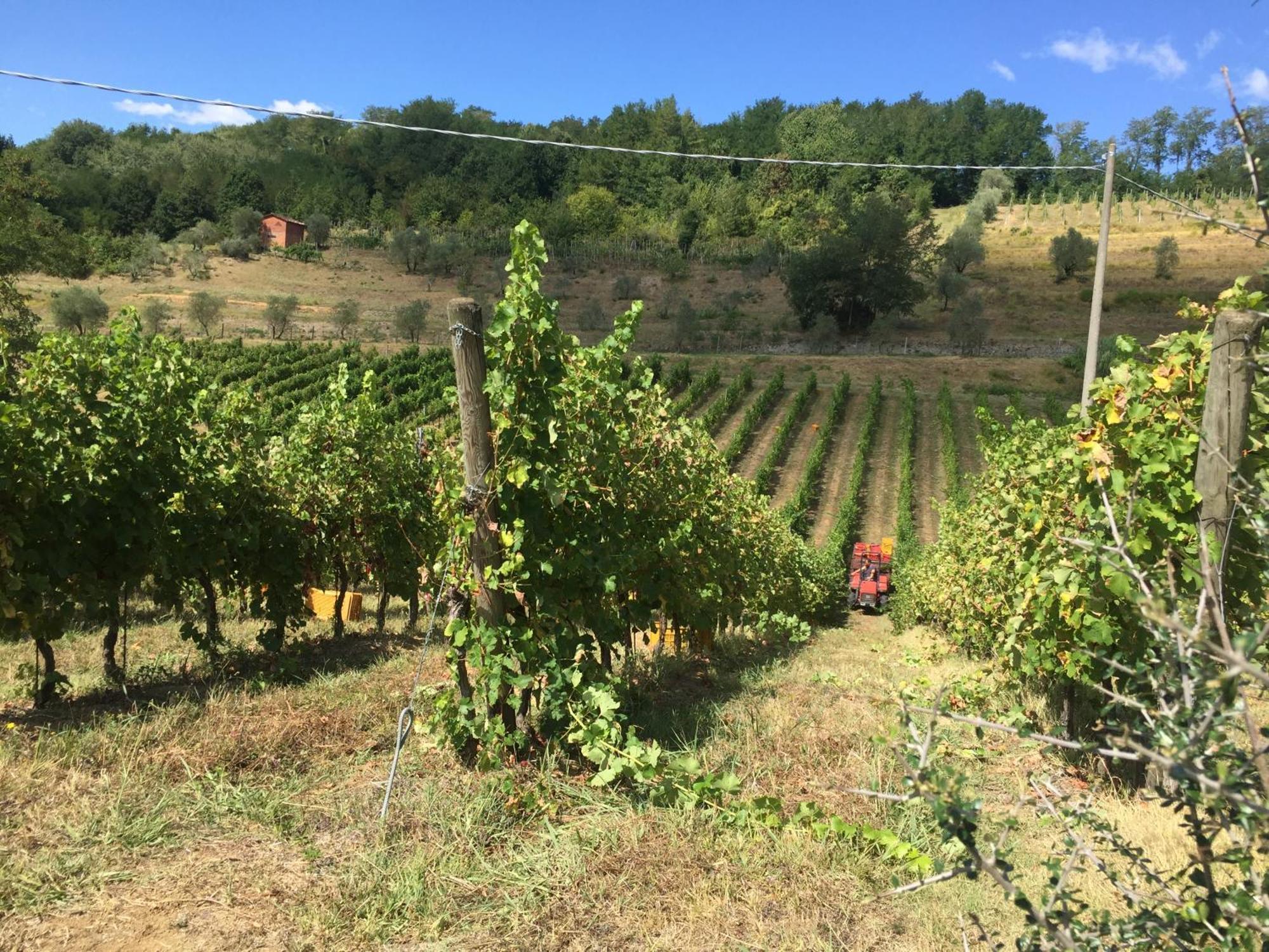 Agriturismo Il Bardellino Fivizzano Extérieur photo