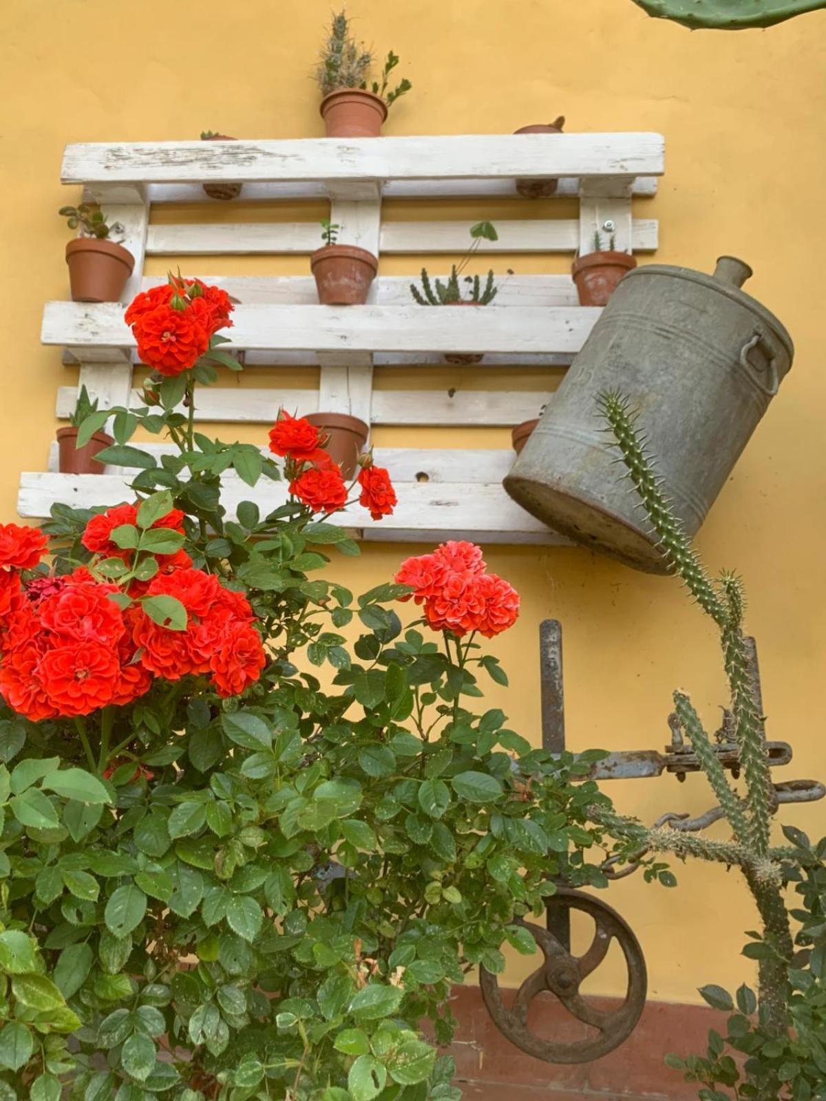 Agriturismo Il Bardellino Fivizzano Extérieur photo